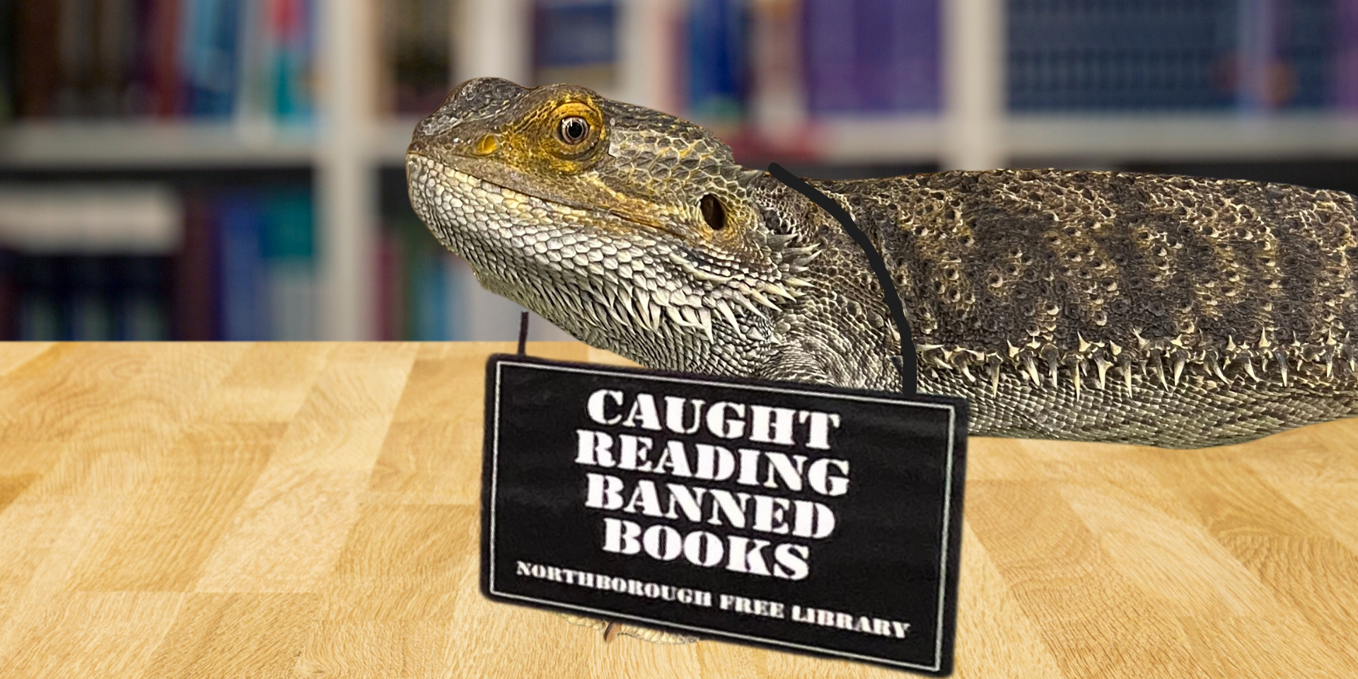The library's pet lizard with a sign edited around her neck which reads "Caught reading banned books. Northborough Free Library."