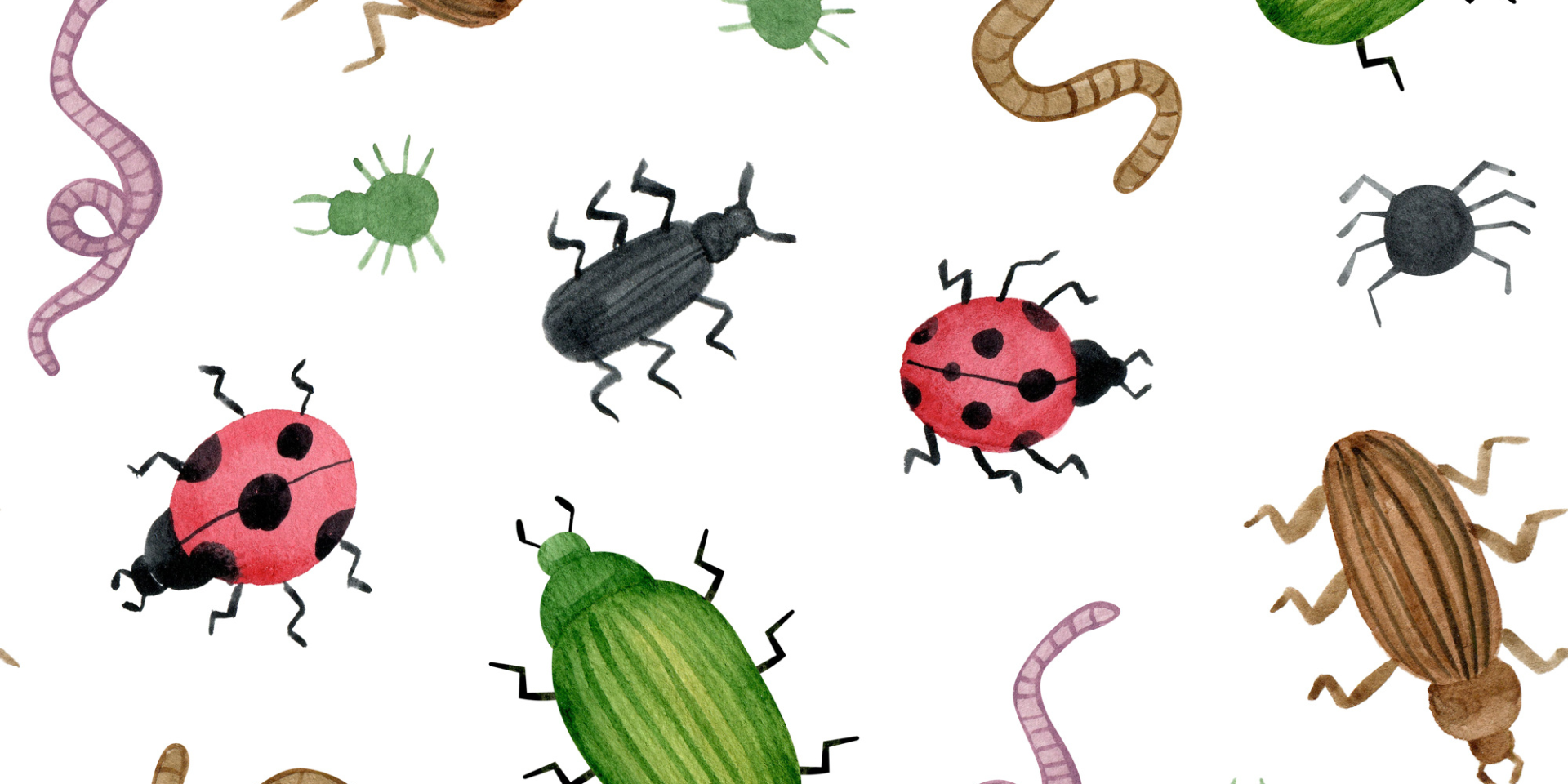 bugs