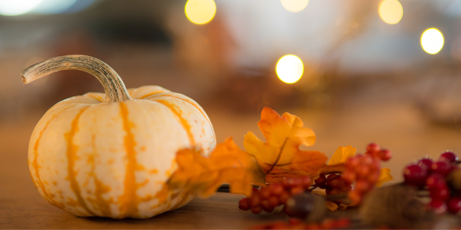 fall library programs