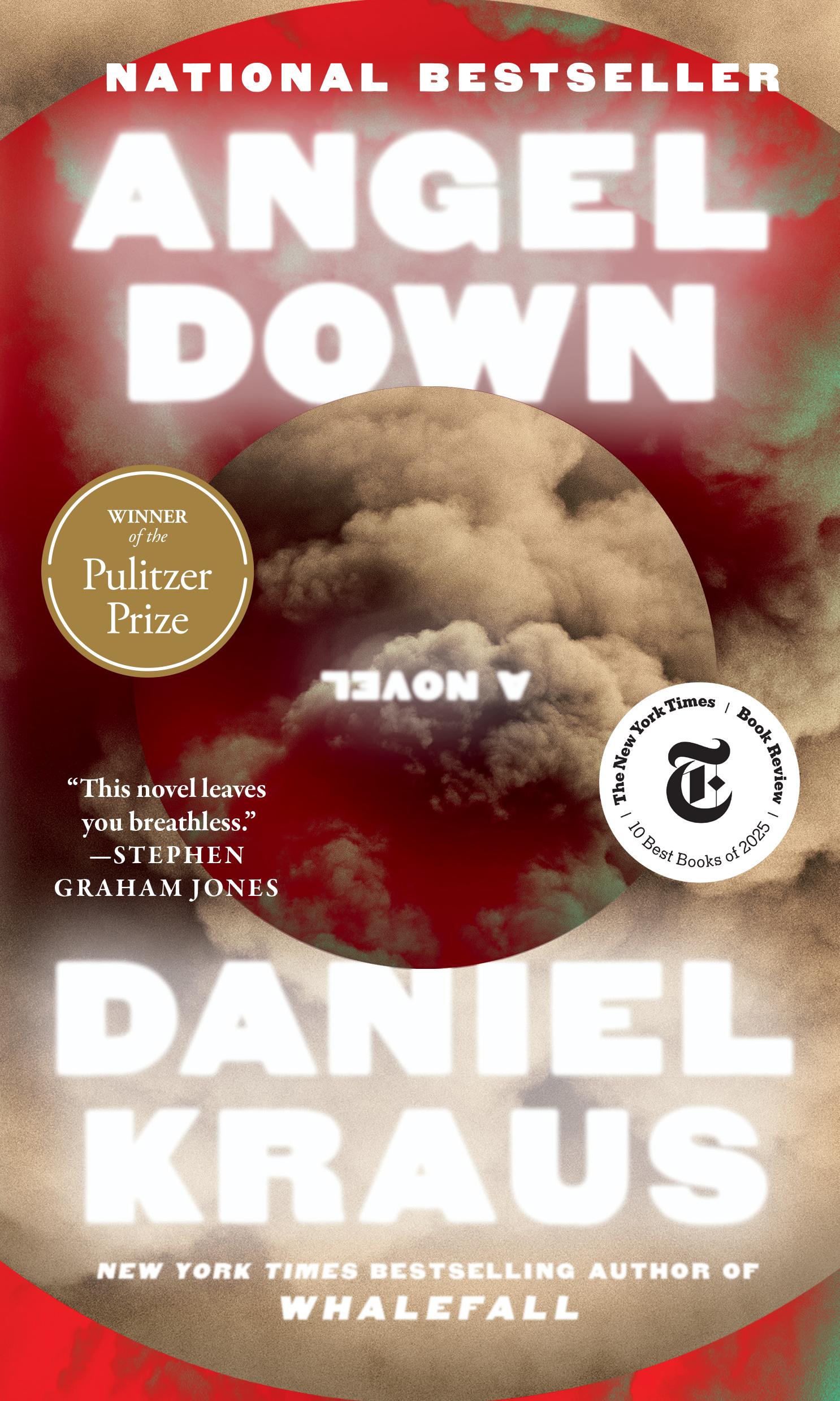 Angel down by Daniel Kraus
